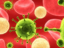 Bacteria and Virus