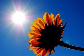 I've Got Sunshine...on