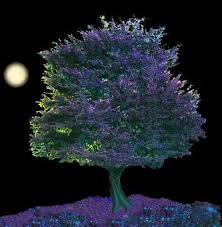 Faery Rings and Faery Trees are ...