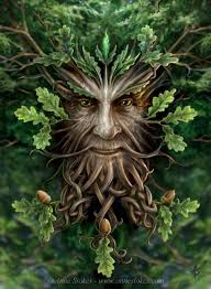 Oak king by