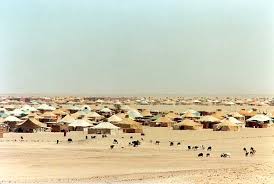 in Western Sahara