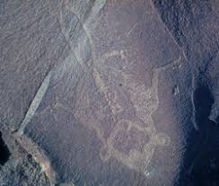 Galagonidae) in the