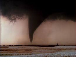 Business License - Kansas and