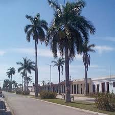 Barrio de Cuba - Il Forum su