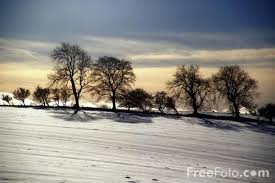 Picture of Winter Scene, ...