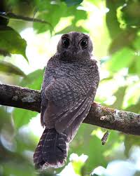 ...and this BARRED