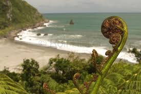 New Zealand Pictures: