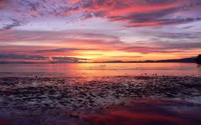 Comox Sunrise Wallpaper - Free