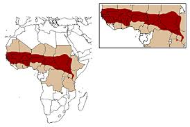 E. patas range (in red)