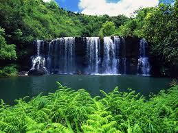 Secluded Falls, Kauai