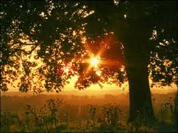 sunrise