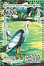 Giant Ibis Pseudibis gigantea