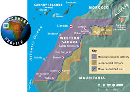 Sahara region N. Western