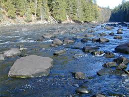 Kennebec (photo by Russ