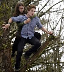 Current music: twilight trailer