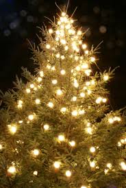 the category Christmas