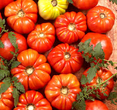 ... tomatoes may look ugly with ...