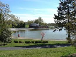 The Old Flower Farm,