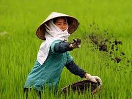 New Index Covers Vietnam;