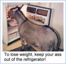 Weight Loss Diet