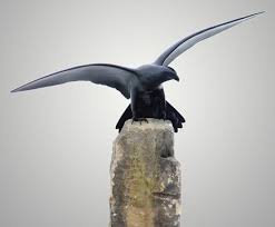 "Falco Peregrinus"