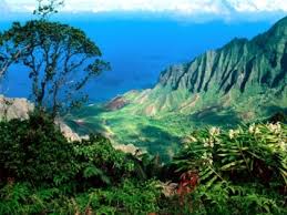 Browse Kauai Island