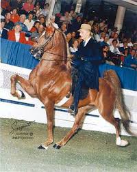 World's Champion Five Gaited ...