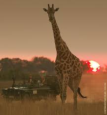 Turismo Kenia, viajes a kenia,