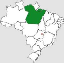 Quem nasce no Pará é: paraense