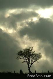 Picture of Storm Clouds - Free ...
