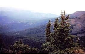 Washington State - A view of