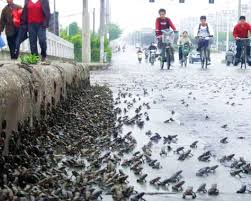 in Jiangsu, China