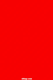 red2.jpg
