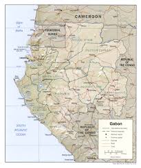 Killifish from Gabon