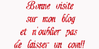 Blog de shihtzuevange : Evange,, pour bien naviguer sur mon blog