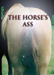 Ancient horse's asses control
