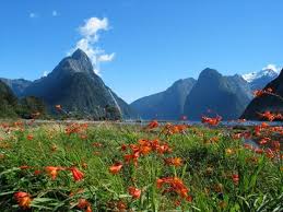 New Zealand Picture Tour (Part