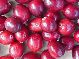 Cranberries are round or oblong in ...