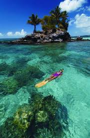 Tagged: Micronesia, Scuba