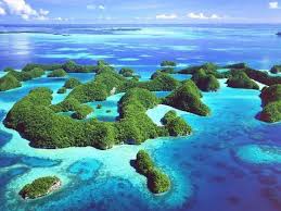 Flora of Palau