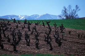 HOME, ESPAÑA, LA RIOJA.