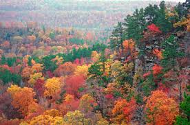 Autumn color - Arkansas Ozarks