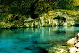 Yucatan Moist Forests - Photos