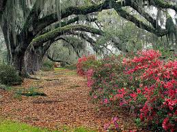 Photo: South Carolina