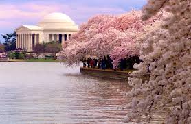 Visiting Washington DC