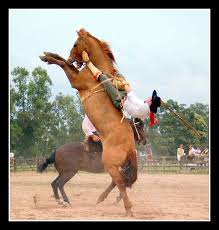 rodeo at Rio Grande do Sul,