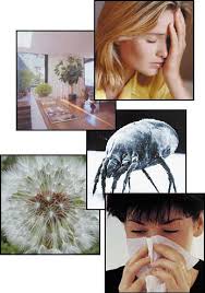 Indoor Air Quality Systems