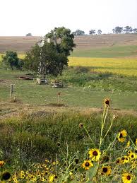 Nebraska Farm, September, 2005