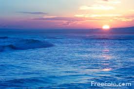 obx sunrise