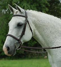 Red Barn Icon Hunter Bridle